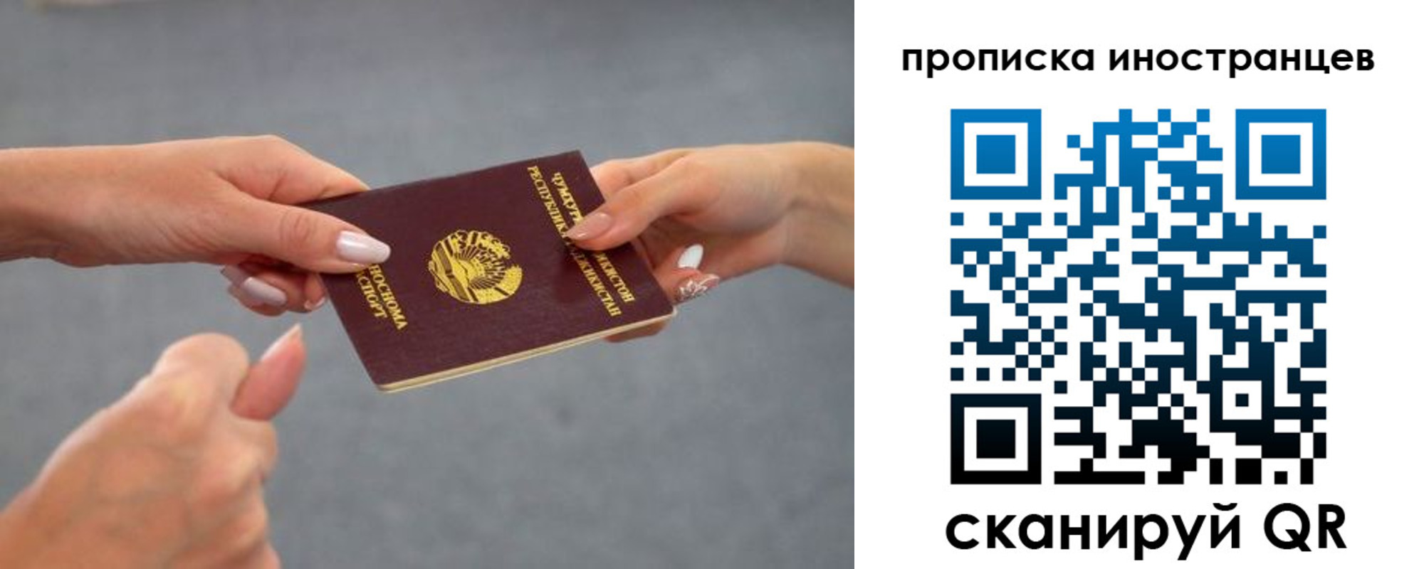 где прописаться в Светлограде